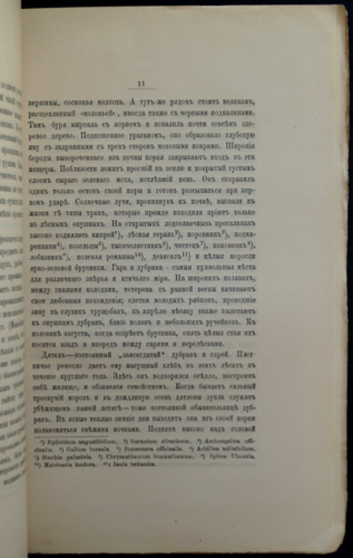 Записки Западно-Сибирского отдела Императорского Русского географического общества. Книжка XIII (тринадцатая), выпуск 1