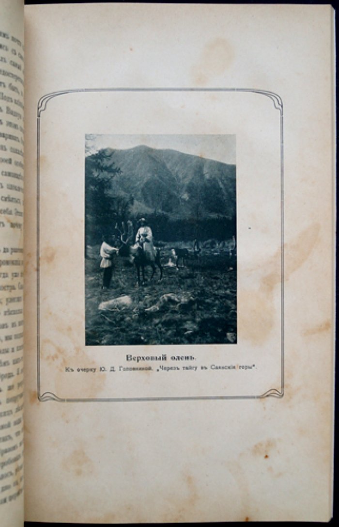 Природа и охота. 1910. № IX (Сентябрь): ежемесячный иллюстрированный журнал об охотничьем хозяйстве