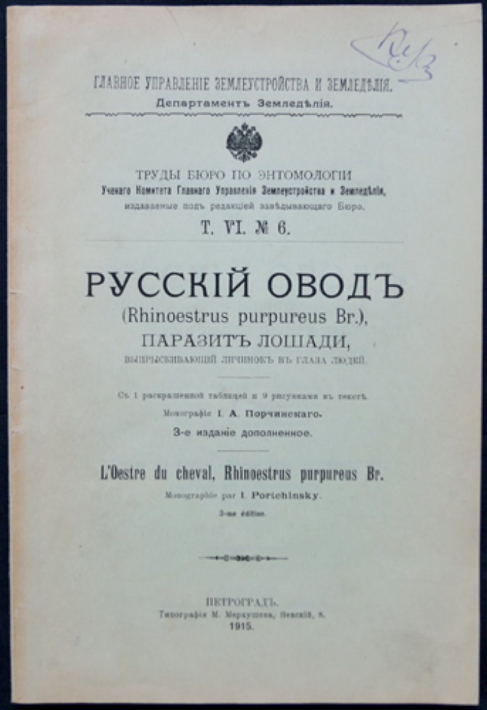 Русский овод: паразит лошади и опасность для человека (выпрыскивание личинок в глаза)