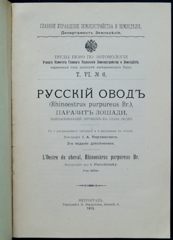 Русский овод: паразит лошади и опасность для человека (выпрыскивание личинок в глаза)