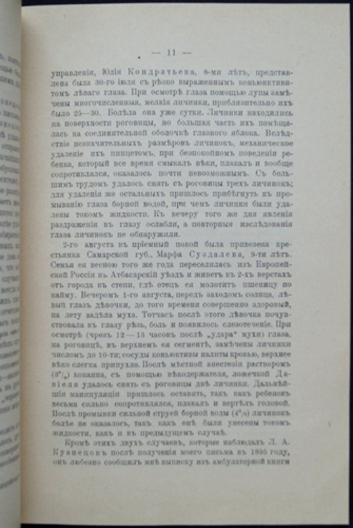 Русский овод: паразит лошади и опасность для человека (выпрыскивание личинок в глаза)