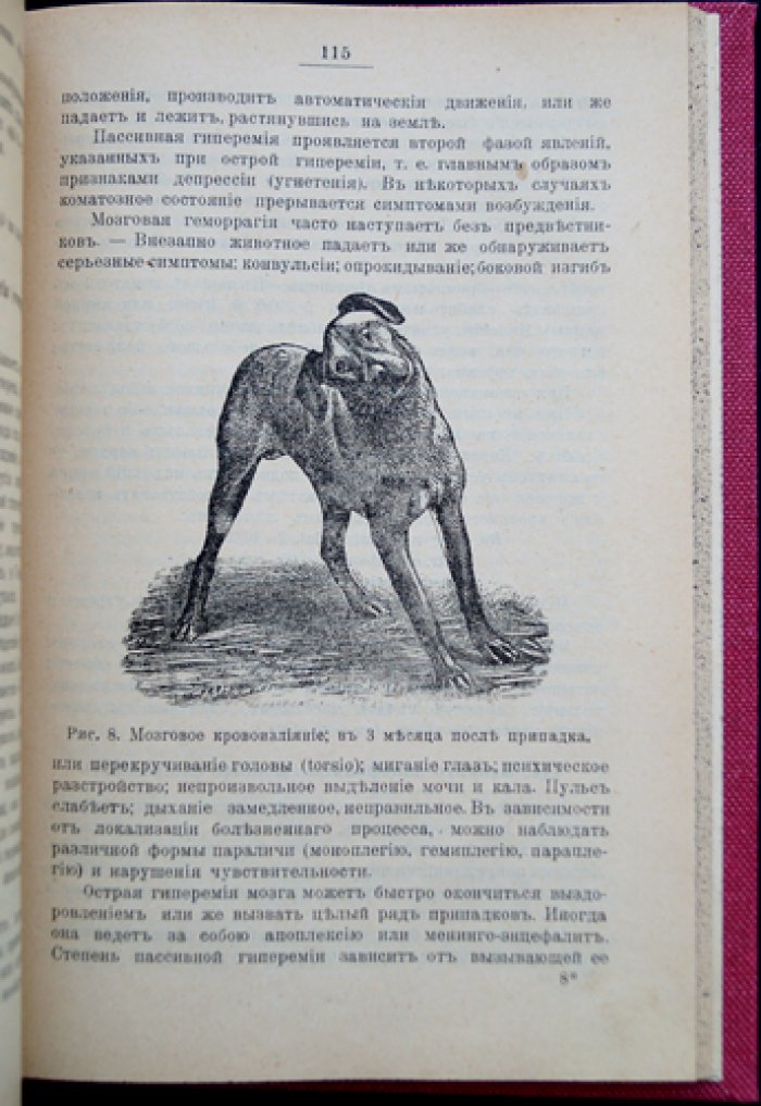 Болезни собак. В двух частях (полный комплект) — перевод с французского издания, с рисунками