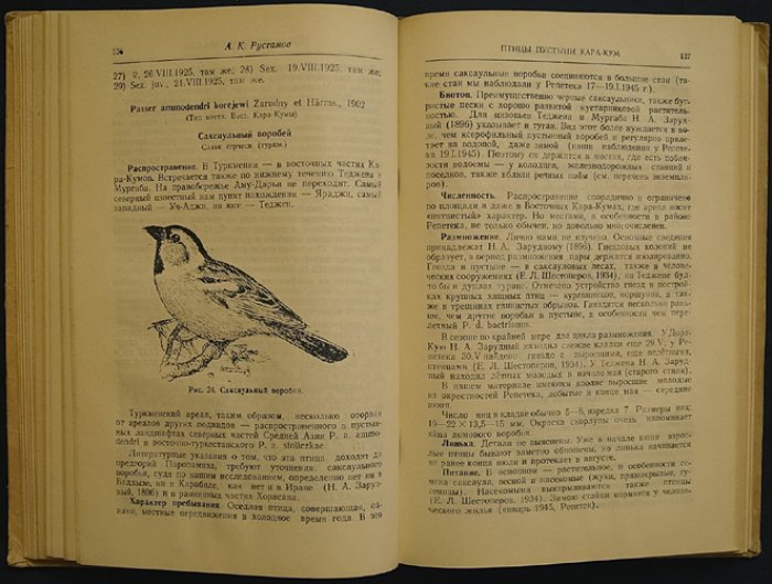 Птицы пустыни Кара-Кум: фауна, экология и орнитогеография (с иллюстрациями)