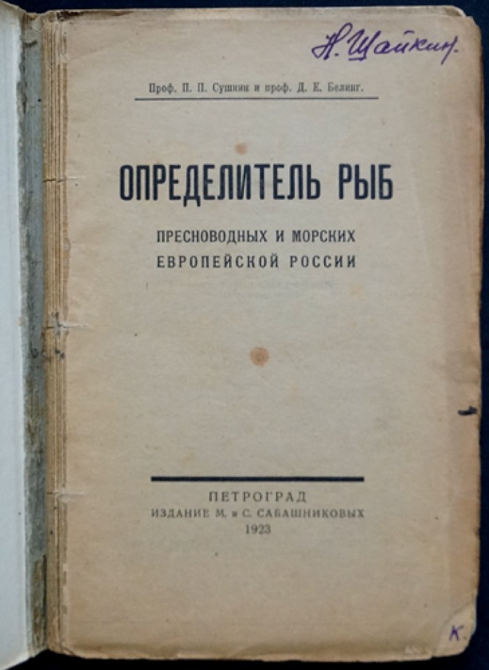 Определитель рыб пресноводных и морских Европейской России (Сушкин, Белинг) — иллюстрированное справочное издание 1923 года
