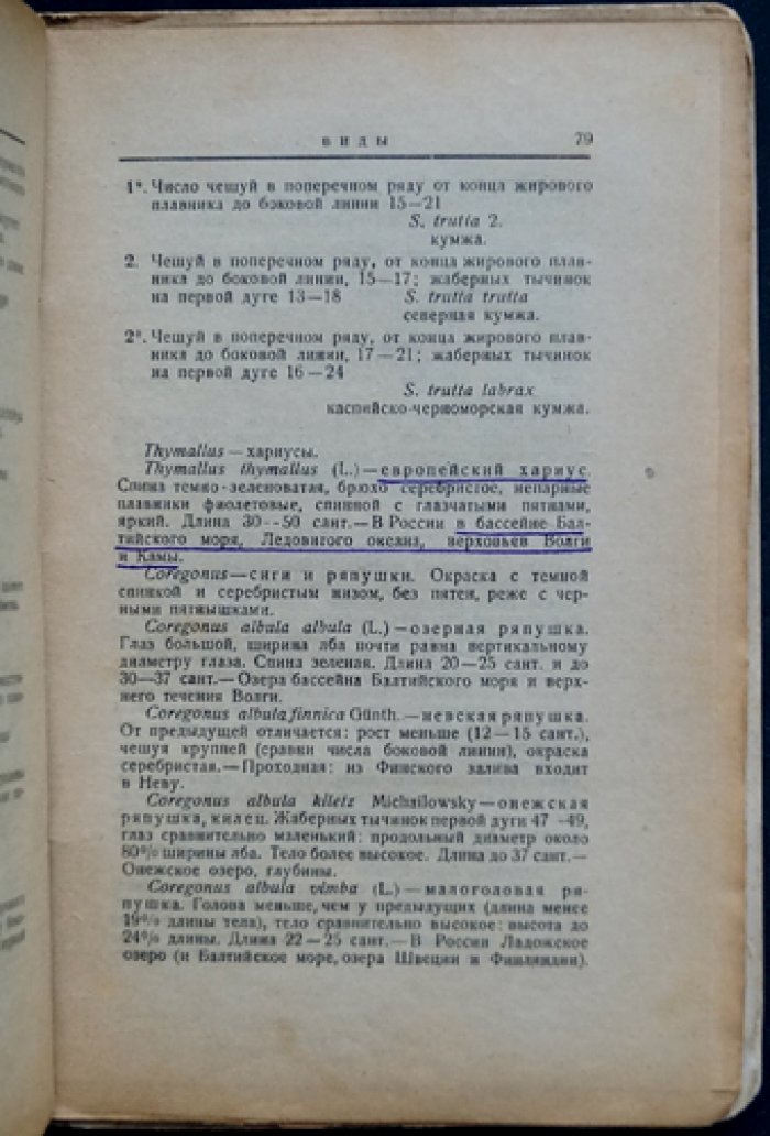 Определитель рыб пресноводных и морских Европейской России (Сушкин, Белинг) — иллюстрированное справочное издание 1923 года