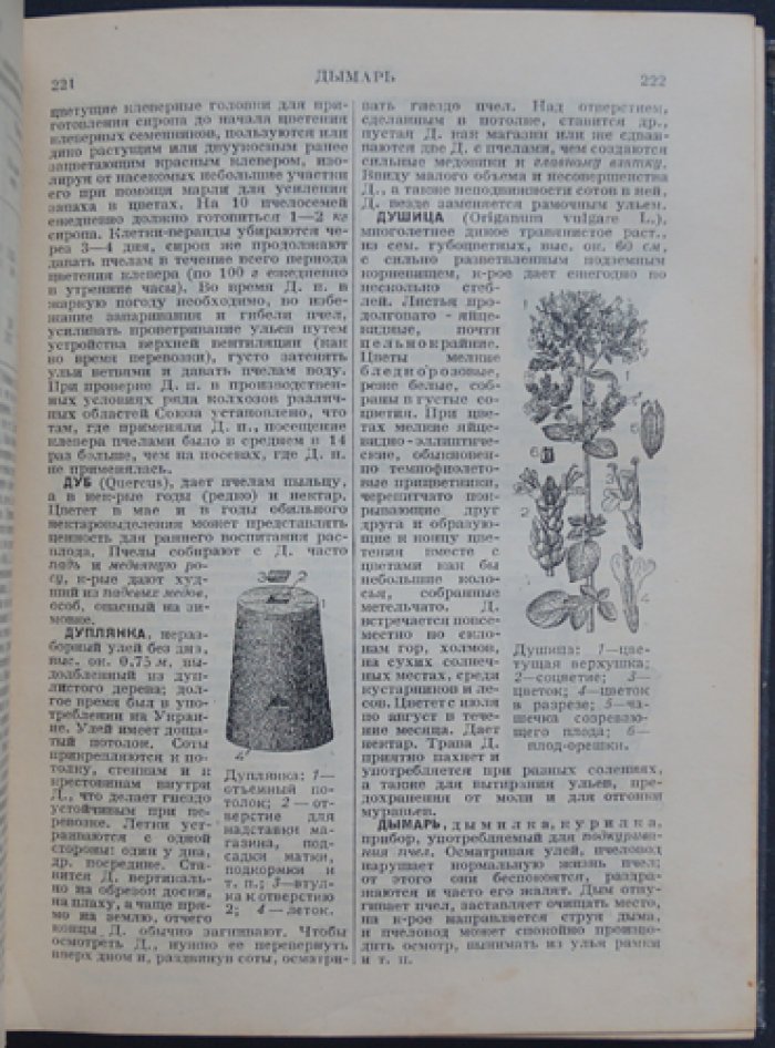 Словарь-справочник по пчеловодству: 1100 статей с иллюстрациями