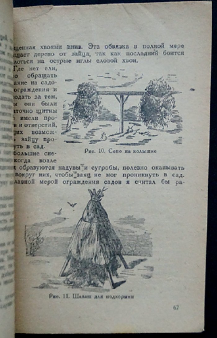 О зайце и его добывании: охотничья монография (издание 3-е, исправленное и дополненное)
