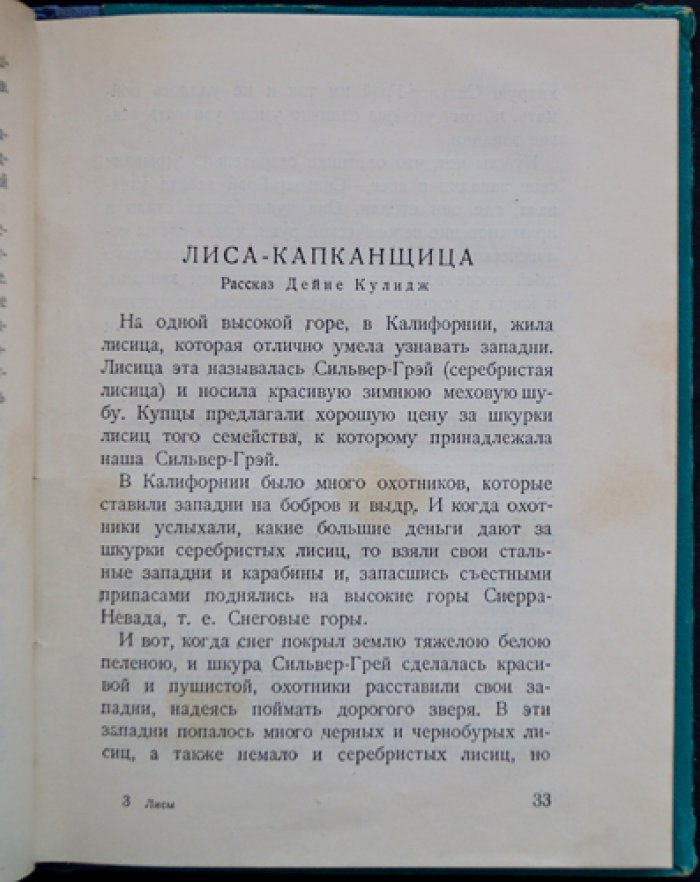 Лисы: необычайные рассказы о жизни ручных и диких лис