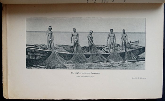 Природа и охота. Ежемесячный иллюстрированный журнал. Книга VIII (Август), 1905 год