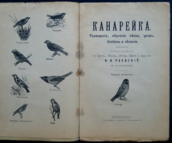 Канарейка: разведение, обучение пению, уход, болезни и лечение (с 10 рисунками)