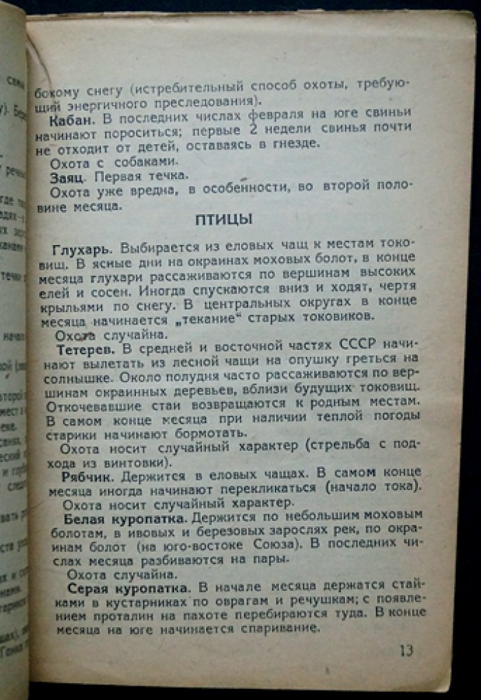 Календарь охотника: биологические очерки и сезонные способы охоты (по месяцам)