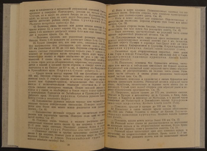 Определитель промысловых птиц (пособие по распознаванию и охране видов)