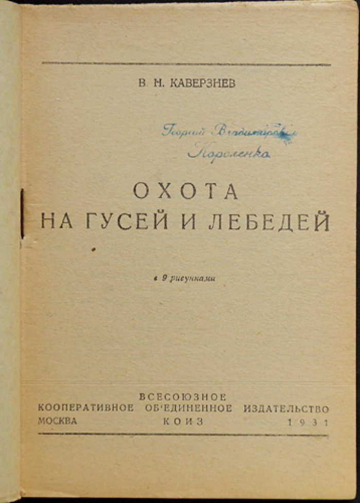 Охота на гусей и лебедей: дикая фауна, способы охоты, чучела и профили