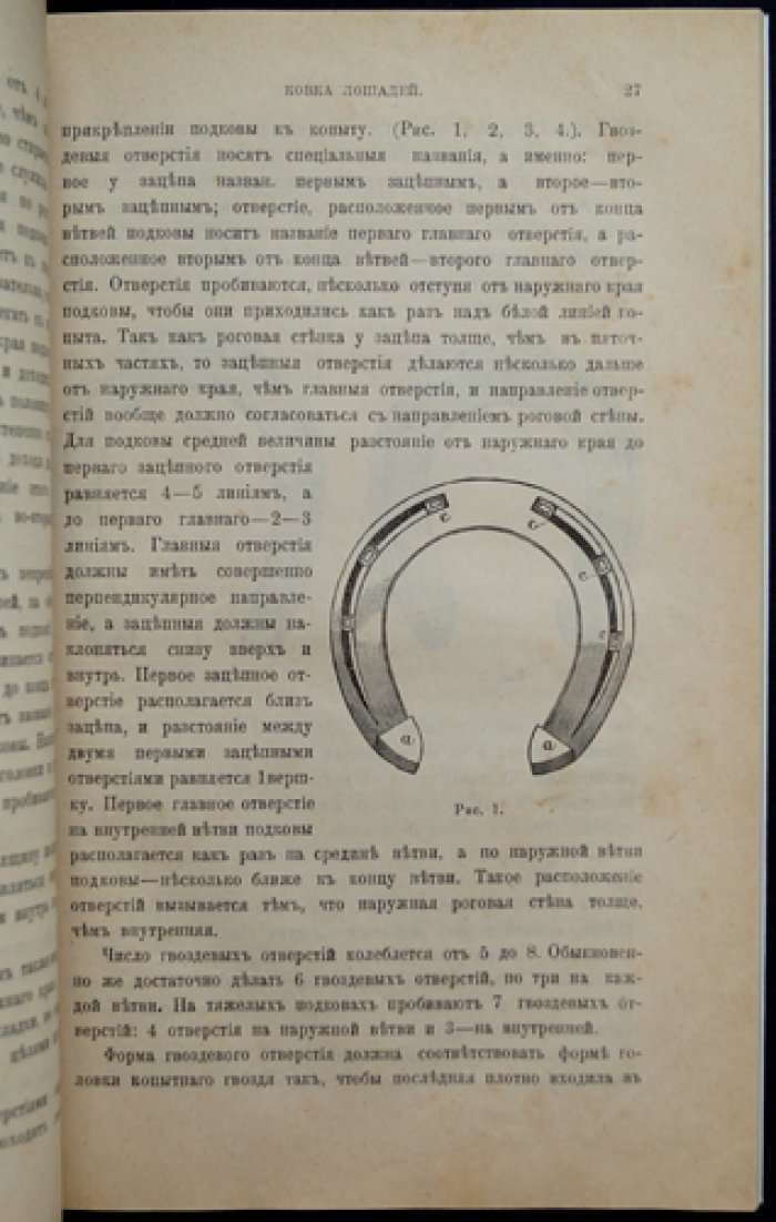 Природа и охота. Ежемесячный иллюстрированный журнал. 1898. Книга 3-я (март)