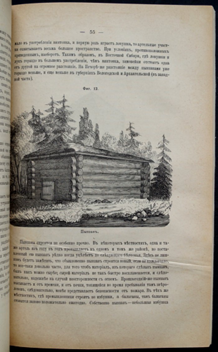 Природа и охота. Ежемесячный иллюстрированный журнал, 1878 г., № 2 (февраль)