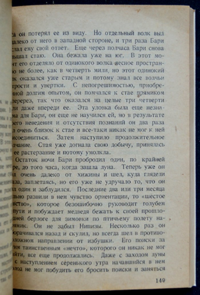 Сын казана: приключения Бари, волчонка с собачьей долей крови