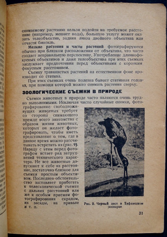 Охота с фотоаппаратом: практическое руководство охотника-фотографа