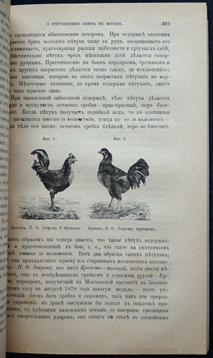 Природа и охота. Ежемесячный иллюстрированный журнал. 1879, № 11 (сентябрь). Выпуск с гравюрами и таблицами