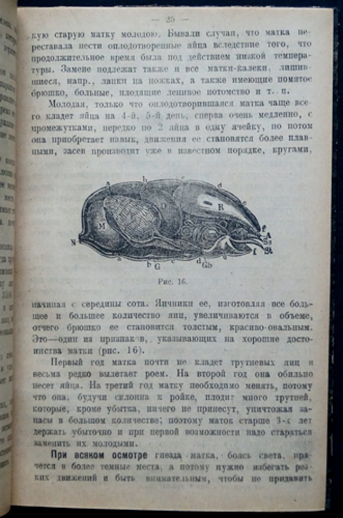 Пчеловодство средней полосы России. Руководство по уходу за пчёлами, сезонным работам и увеличению медосбора