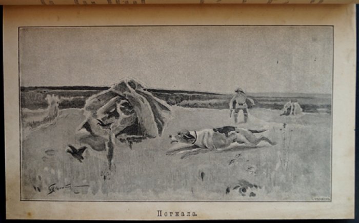 Природа и охота. Ежемесячный иллюстрированный журнал. Июнь, № 6 (1893)