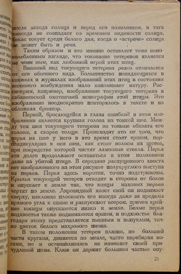 Охота на тетеревов. Практическое руководство (2-е издание, 1931)
