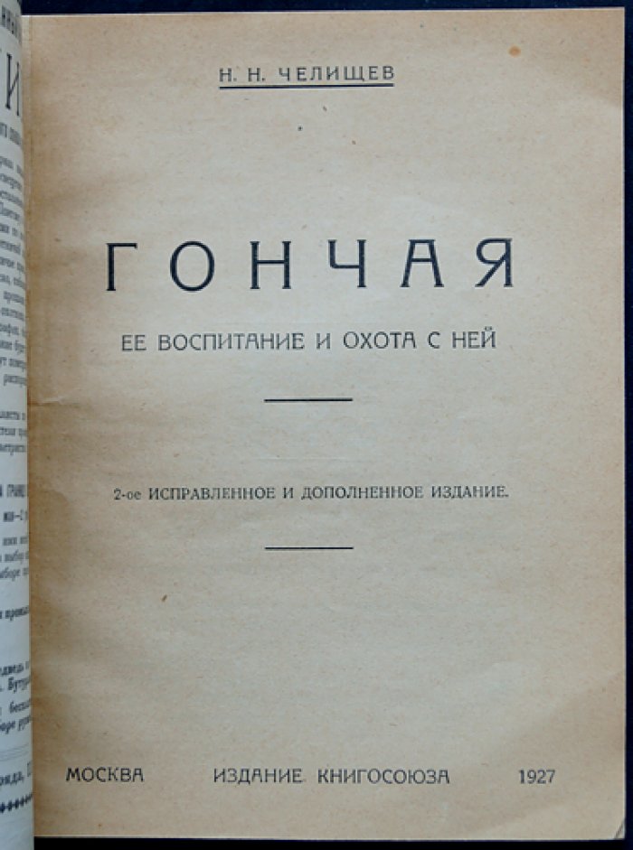 Гончая: воспитание и охота с ней (псовая охота, уход, подготовка, практические советы)