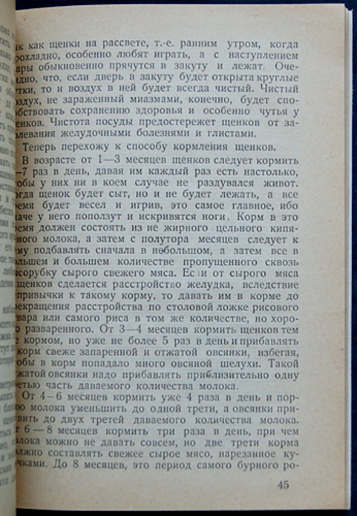Гончая: воспитание и охота с ней (псовая охота, уход, подготовка, практические советы)