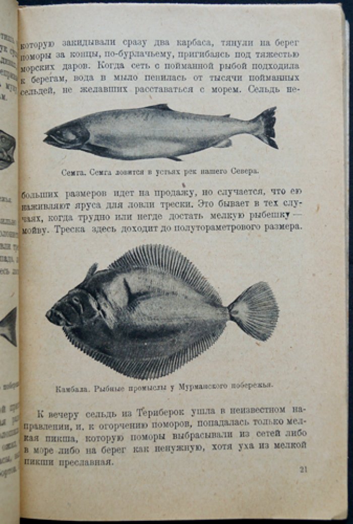 Полярное море. Рассказы о холодных странах: очерки об исследованиях заполярья и освоении полярных морей