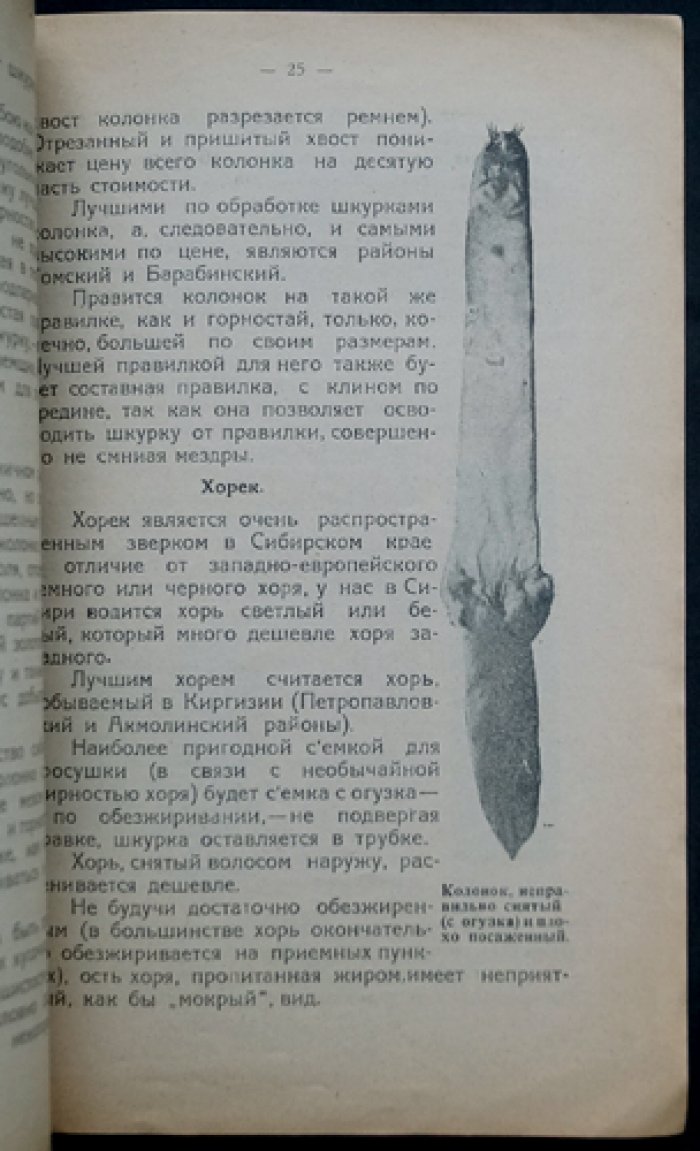 Пушная шкурка и уход за нею. Практические рекомендации охотнику (приложение к «Охотник и пушник Сибири», 1926)