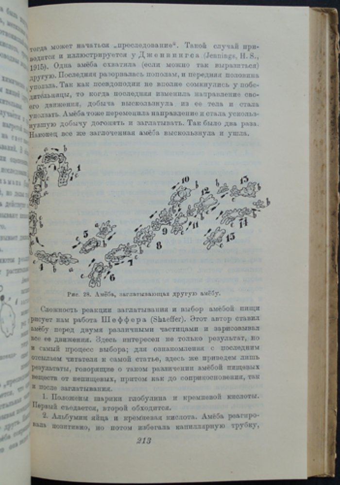 Современные успехи зоопсихологии: методы изучения психики животных (исторический очерк, аппараты и исследования, эволюция психики)