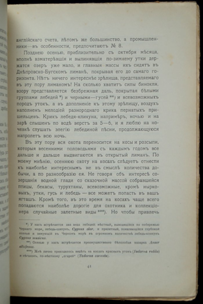 «Псовая и ружейная охота: 1904. Книга IX (сентябрь)» — популярный журнал охоты и оружейной техники
