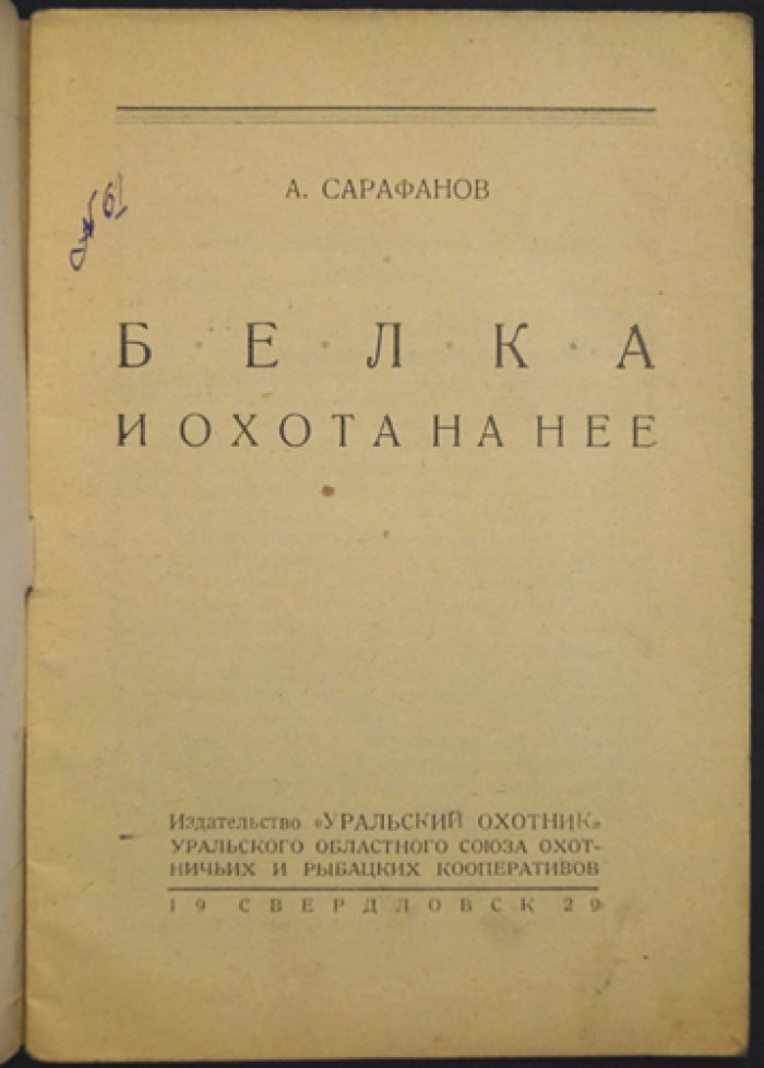 Белка и охота на нее (экономика, биология, шкурки, промысел)