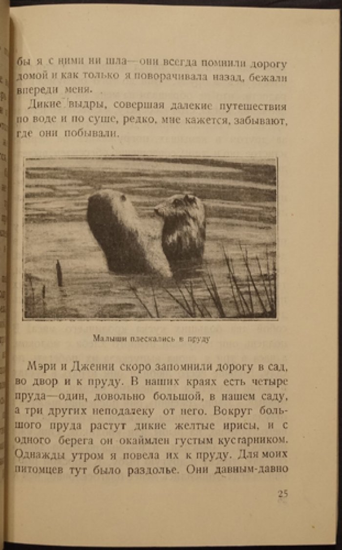 Моя выдра Мэри: детская книга с фотографиями