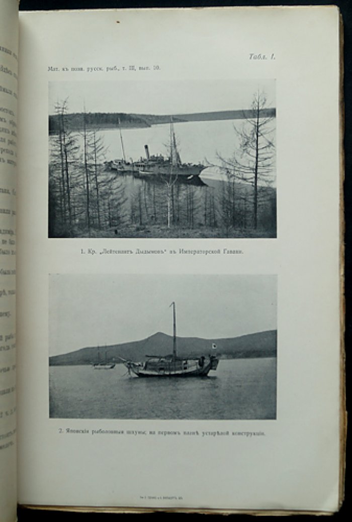 Материалы к познанию русского рыболовства. 1914 год. Том III, выпуск 10: исследование восточной сельди на Дальнем Востоке