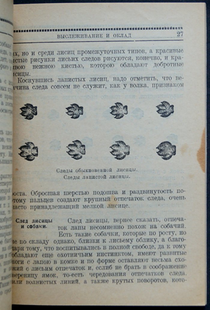 Охота на лисиц. Практическое руководство охотника (первое издание)