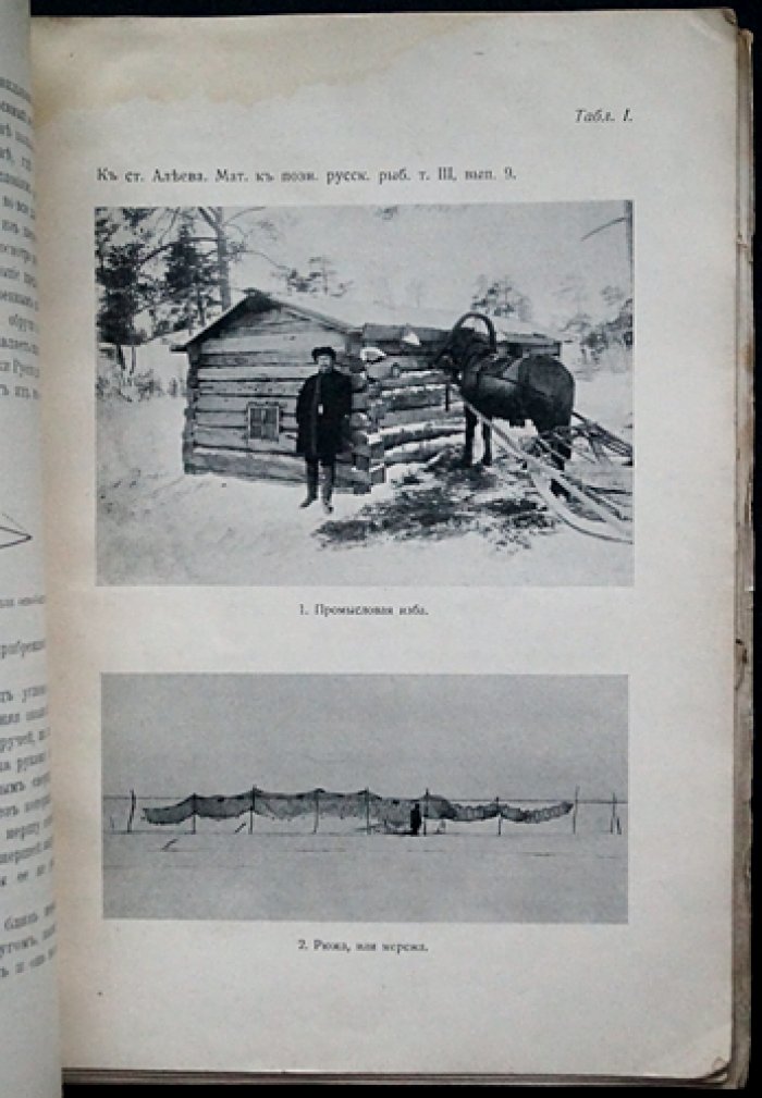 Материалы к познанию русского рыболовства. 1914 год. Том III, выпуск 9