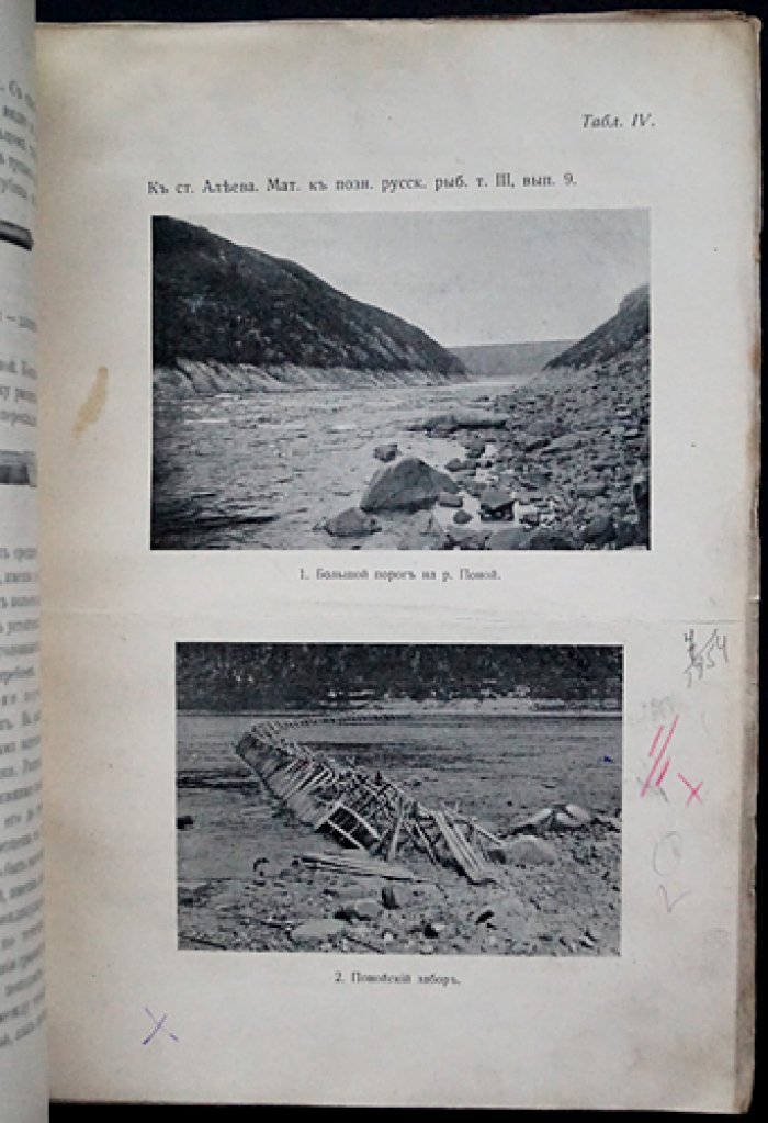 Материалы к познанию русского рыболовства. 1914 год. Том III, выпуск 9