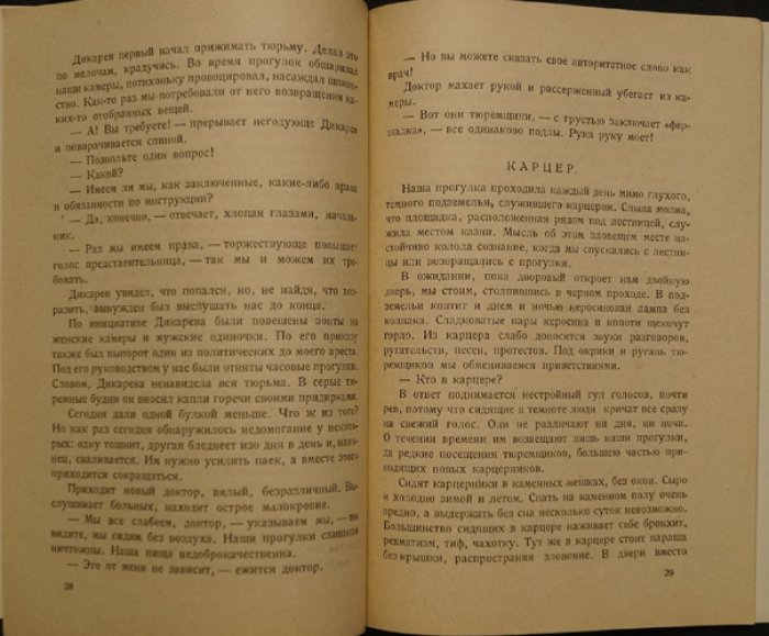 Тюремные записки. Воронежская тюрьма: быт, связи и ожидание приговора