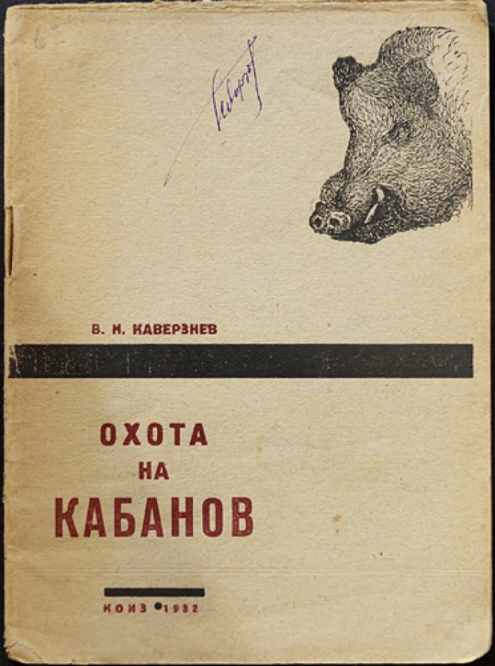 Охота на кабанов: образ жизни, болезни и охота (с 14 рисунками)