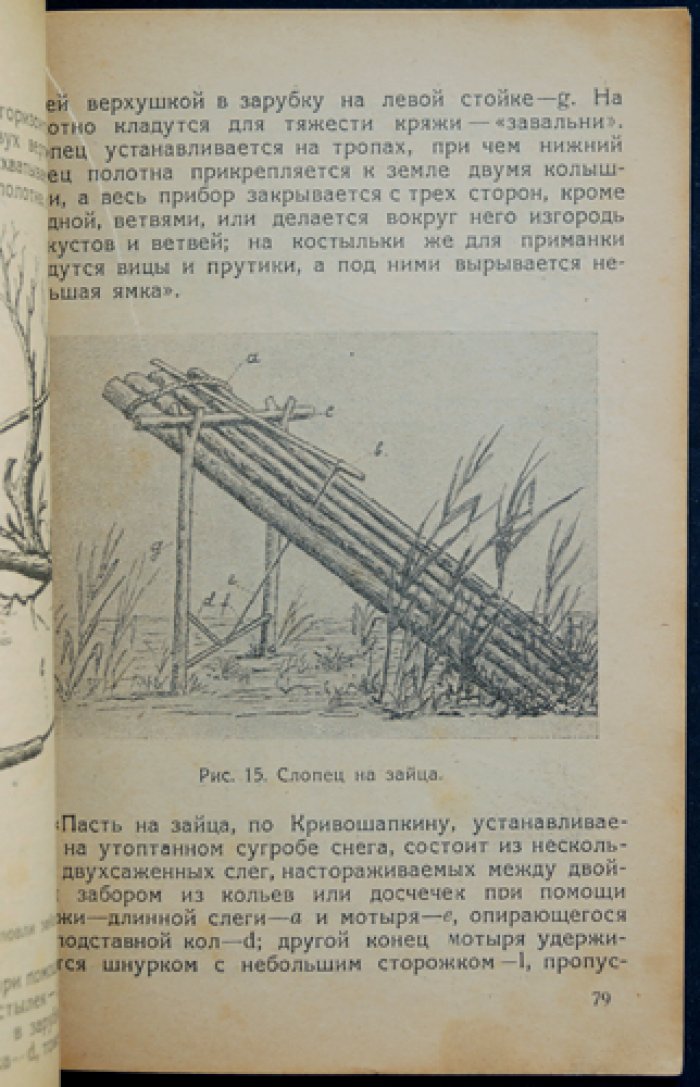 О зайце и его добывании. Охотничья монография (второе издание)