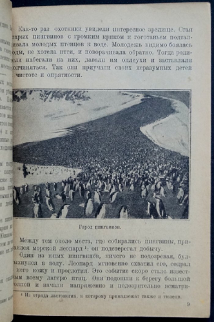 Полярное море: рассказы о холодных странах (очерки об исследованиях Заполярья и Южных морей)