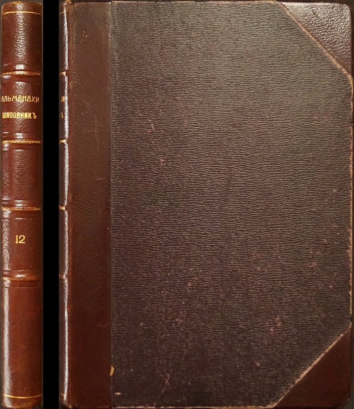 Литературно-художественные альманахи «Шиповник». Книга 12 (12-я)