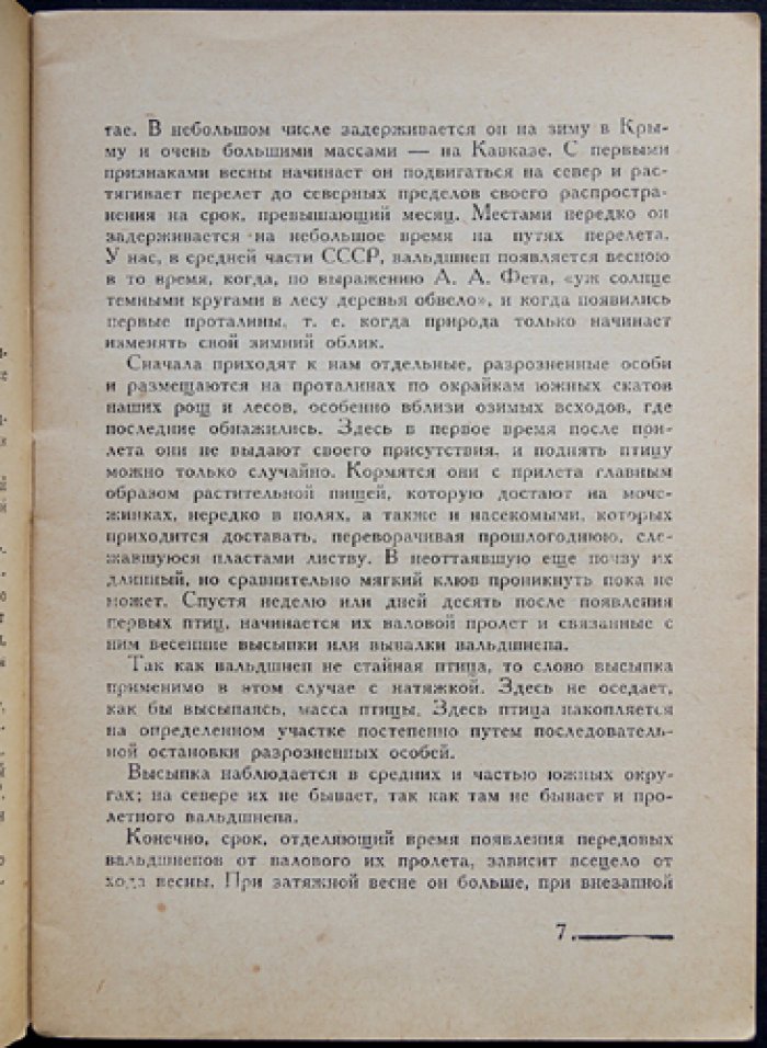 Охота на вальдшнепов: лесной кулик в спортивной охоте (2-е издание, 1931)