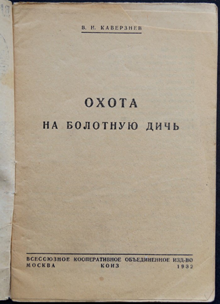 Охота на болотную дичь: дупель, бекас, гаршнеп и перепел