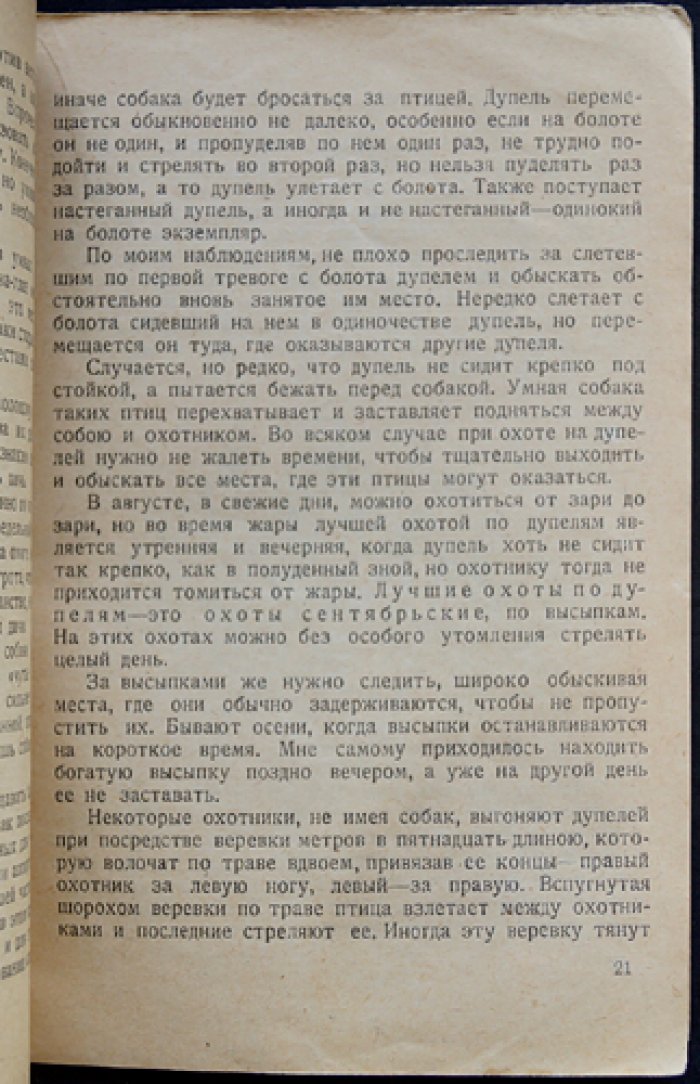 Охота на болотную дичь: дупель, бекас, гаршнеп и перепел