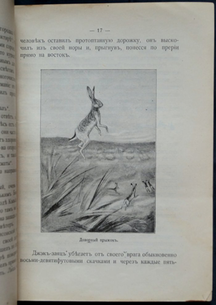 Сетон-Томпсон: Маленький ратный конь (история о доблести и дружбе с природой)