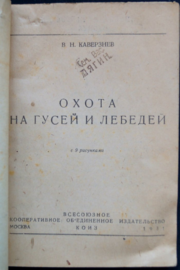 Охота на гусей и лебедей. Практическое руководство для охотников-любителей