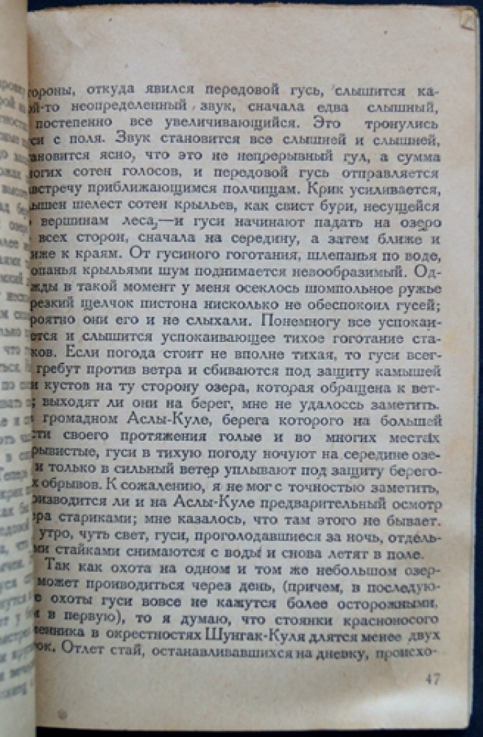 Охота на гусей и лебедей. Практическое руководство для охотников-любителей