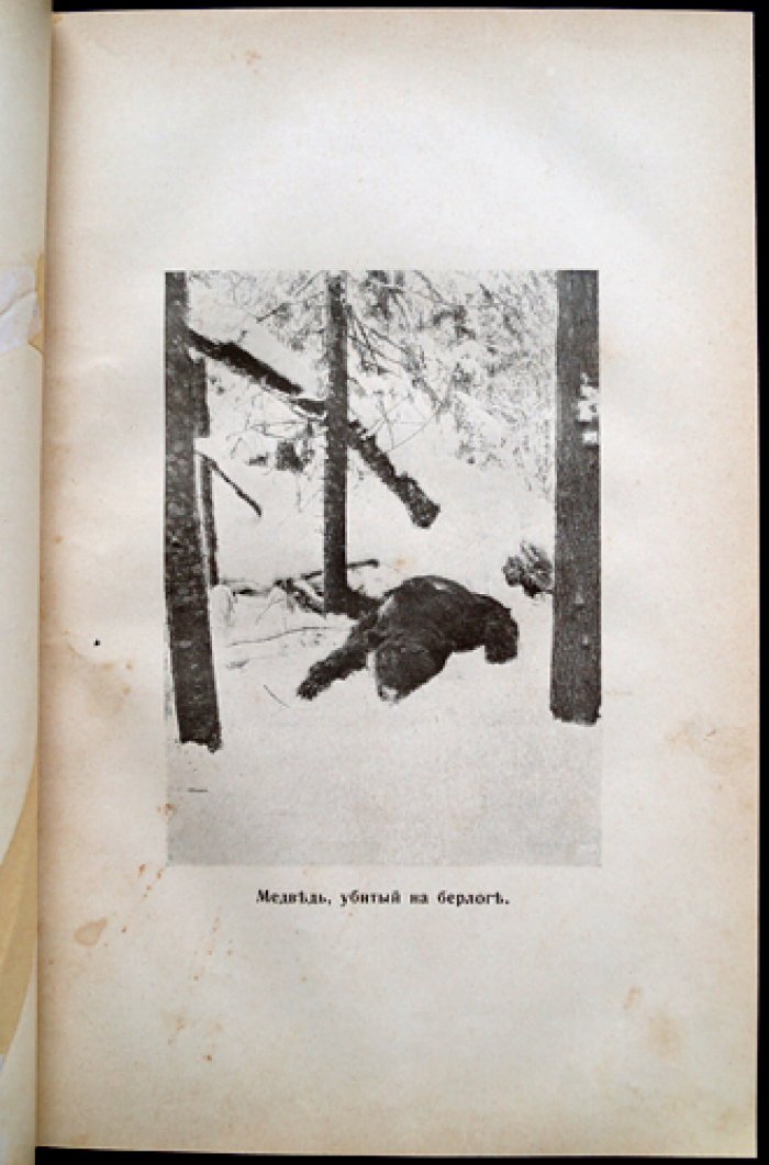 «Природа и охота». Ежемесячный иллюстрированный журнал. 1910 год, № VIII (август)