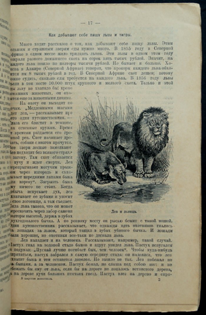 Рассказы о делах в царстве животных (с рисунками)